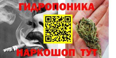 mdpv Краснознаменск
