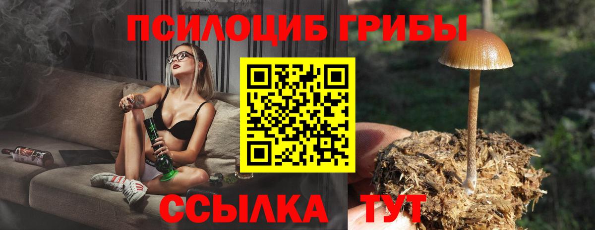 Псилоцибиновые грибы мицелий Егорьевск