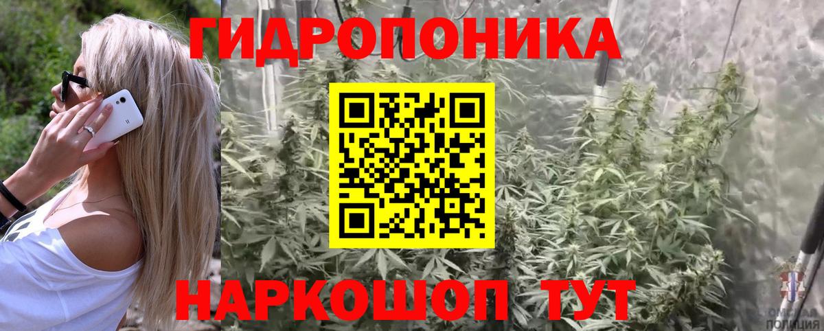 Марихуана семена Егорьевск